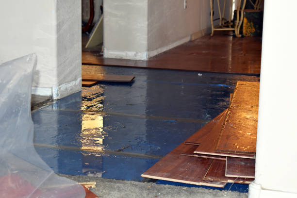 Professional Burst Pipe Cleanup technician working in Hampton, MD